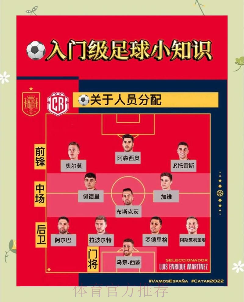 详细解读世界杯比赛推荐与分析策略