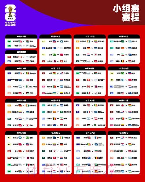 “如何在线观看世界杯2026直播精彩赛事”